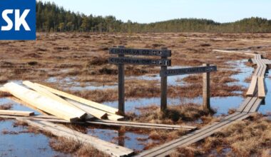Eläimet työllistivät pelastuslaitosta Pomarkussa: Hirvi jäi jumiin ja peura koki hyisen lopun