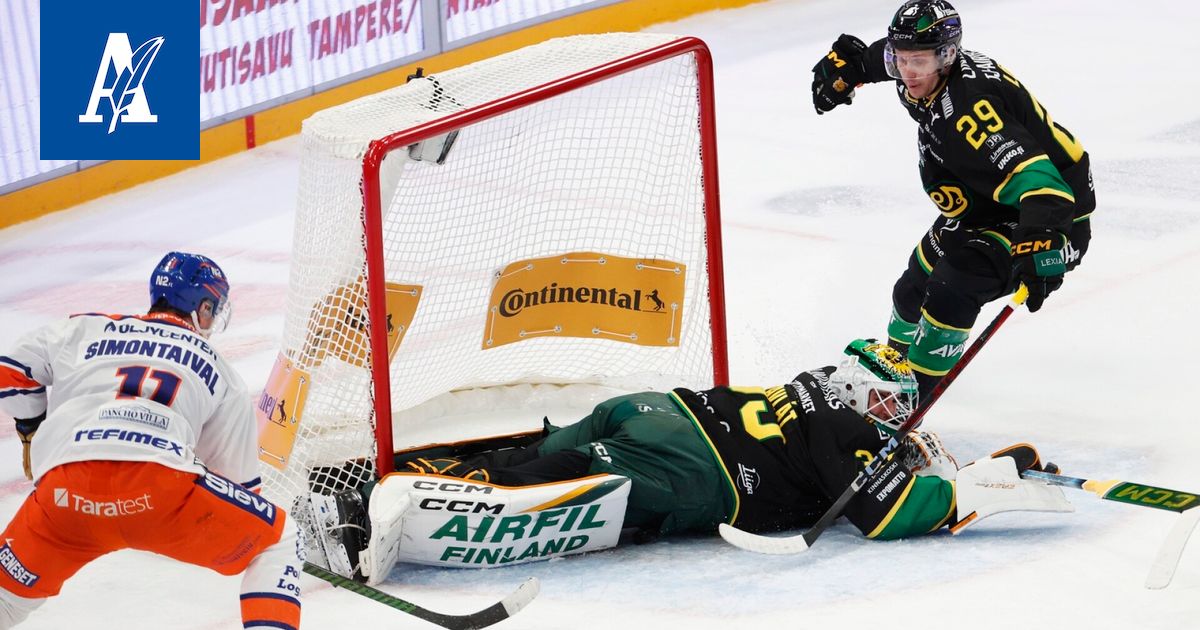 Nujerrettua Ilvestä odottaa raju reissu – näin Tommi Niemelä perusteli lopun erikoista ratkaisua - Aamulehti