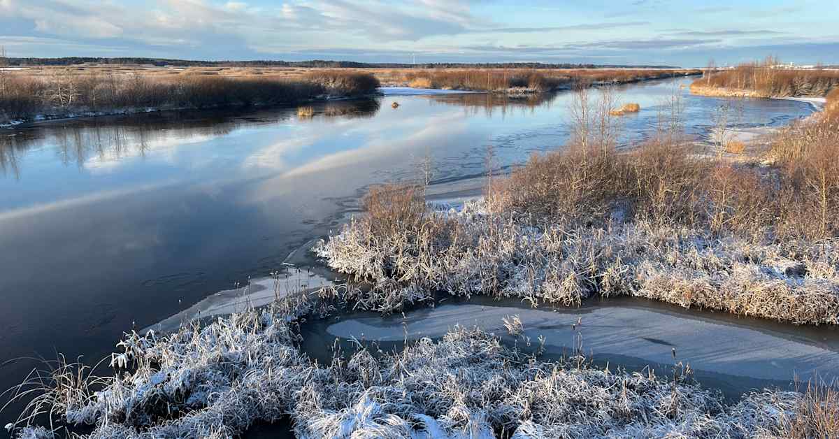 Länsirannikon jokien vedet korkealla – Laihianjoella ja Kalajoella voi tulvia | Etelä-Pohjanmaa