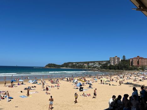 Miselle asuu Sydneyn pohjoispuolella sijaitsevassa Manlyssa. Kuvassa näkyvä Manlyn uimaranta on suosittu turistikohde. Tällä hetkellä lonkeroa voi ostaa muutamista Misellen asuinalueen alkoholimyymälöistä ja baareista.