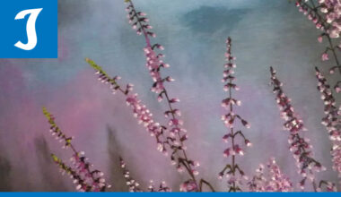 Villa Väinölässä avautuu uusi näyttely: Elena Laukkolan teoksissa luonto on läsnä