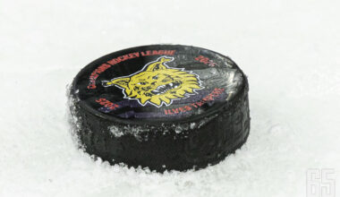 Genèveläislähtöinen Mottard saapui pelaamaan Suomeen viime kaudeksi. Tällä kaudella hän siirtyi Tampereen Ilvekseen.