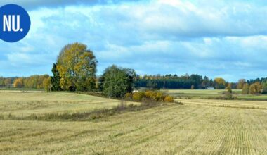 Ympäristö | Nurmijärven kunta vuokraa peltoalueita viiden vuoden sopimuksella | Paikalliset
