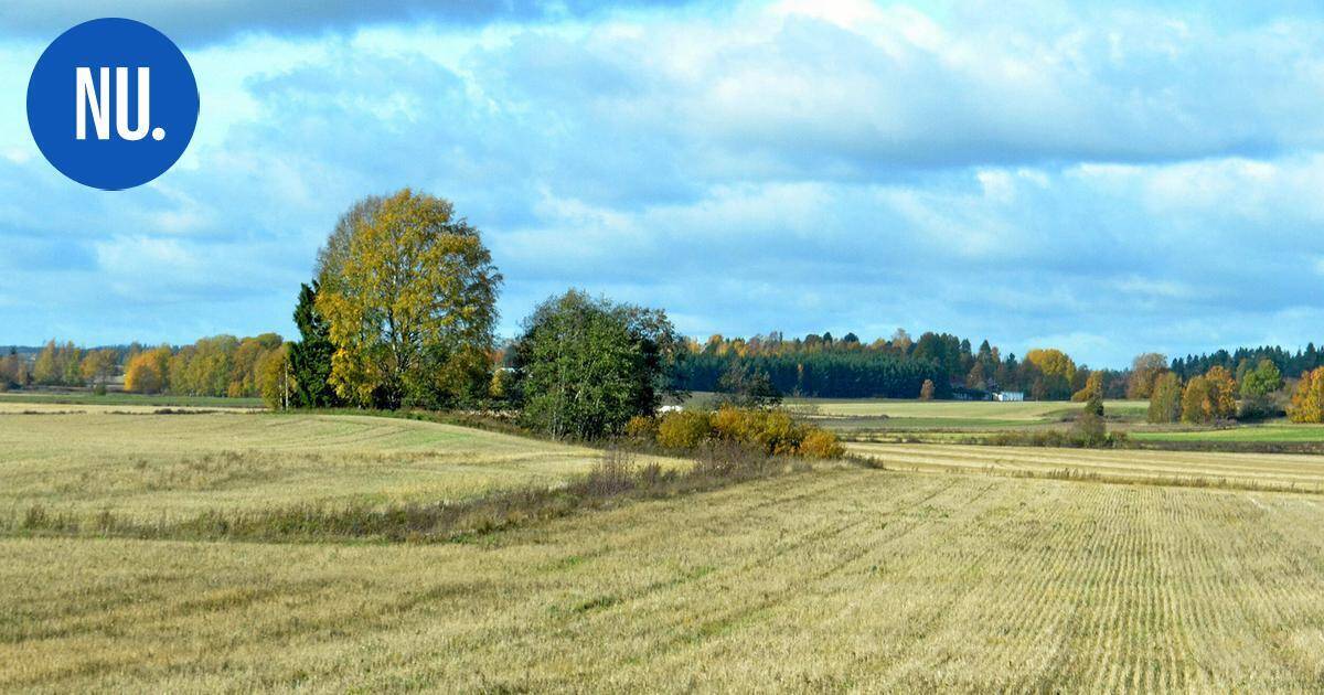 Ympäristö | Nurmijärven kunta vuokraa peltoalueita viiden vuoden sopimuksella | Paikalliset