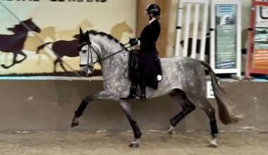 Mikaela Soratie hopealle barokkihevosten EM-finaalissa