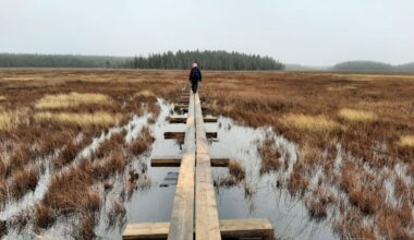 ”Kyllä ne puut puhhuu minulle” – ikääntyneet ammentavat hyvinvointia luonnosta