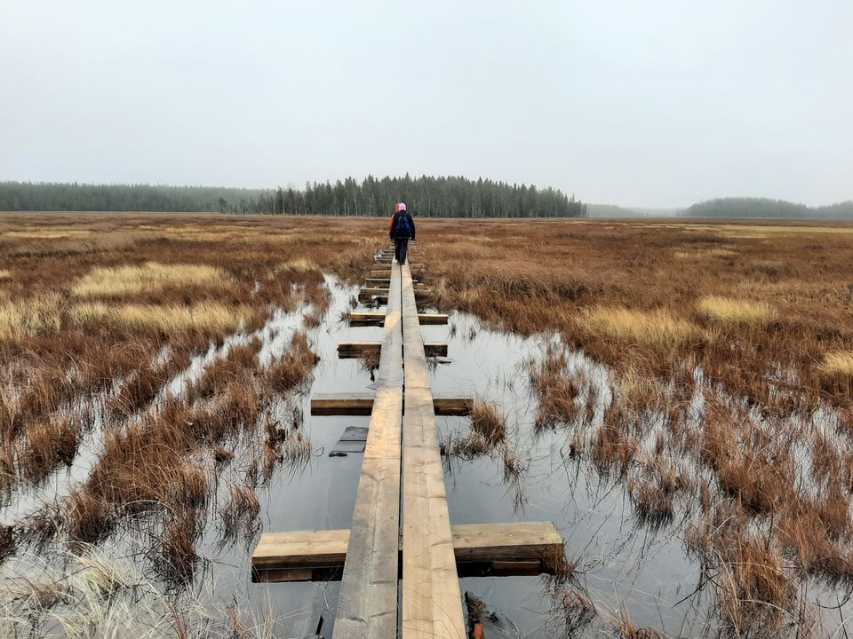 ”Kyllä ne puut puhhuu minulle” – ikääntyneet ammentavat hyvinvointia luonnosta