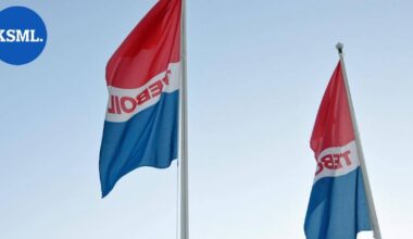 JS: Venäjään kytkeytyvä yhtiö osti Suomesta kolme Teboilia | Uutissuomalainen