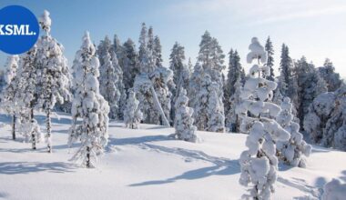 Vasemmistonuorten puheenjohtajan julkaisu israelilaisista turisteista puhuttaa – IL: Poliisille rikosilmoituksia | Uutissuomalainen