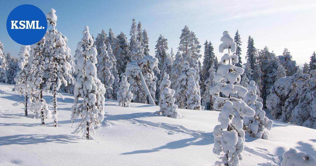 Vasemmistonuorten puheenjohtajan julkaisu israelilaisista turisteista puhuttaa – IL: Poliisille rikosilmoituksia | Uutissuomalainen