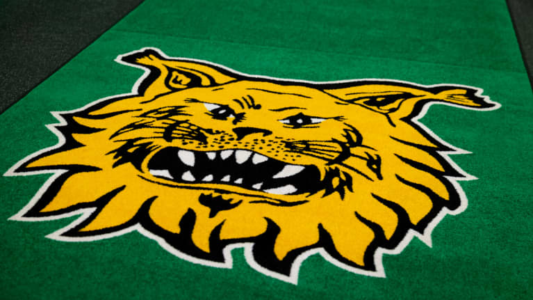 Jääkiekkojoukkue Ilveksen logo matossa.