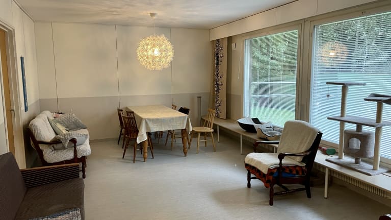 tyhjä olohuone kissatalossa