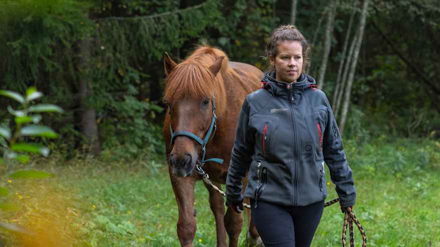 Nainen kävelyttää hevosta nurmikolla.