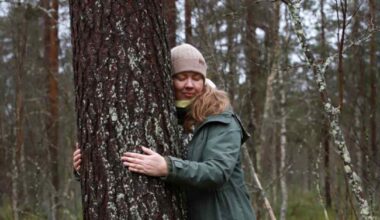 Puiden halaamisesta bisneksen tehnyt yrittäjä purskahti itkuun, kun kuuli kenet saa naapurikseen | Kotimaa