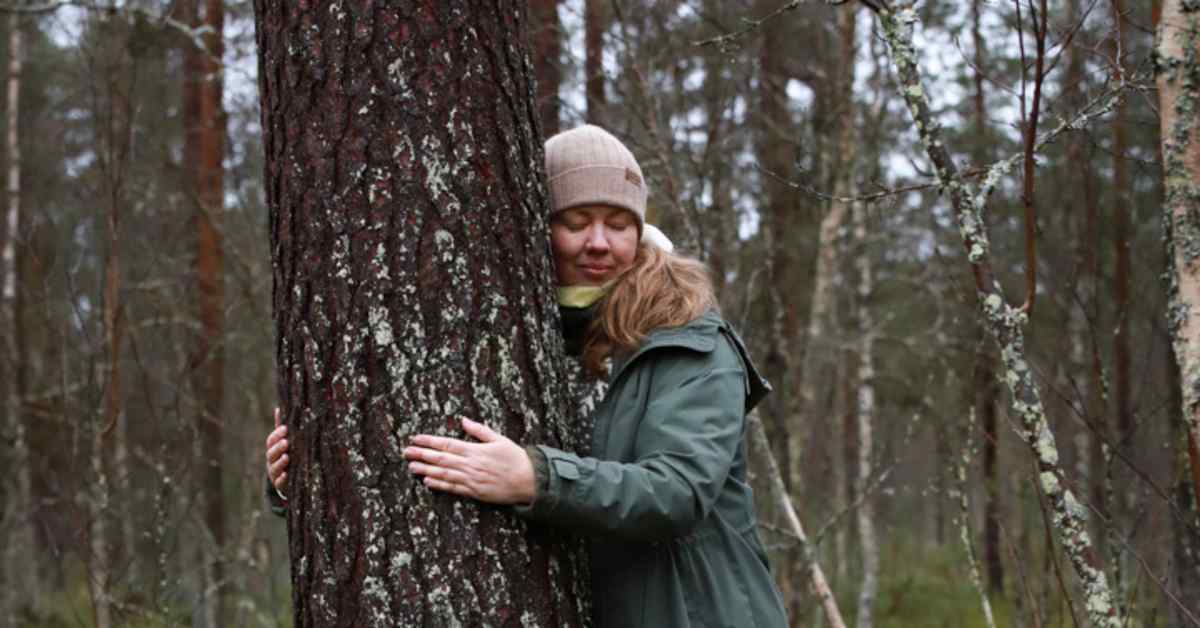 Puiden halaamisesta bisneksen tehnyt yrittäjä purskahti itkuun, kun kuuli kenet saa naapurikseen | Kotimaa