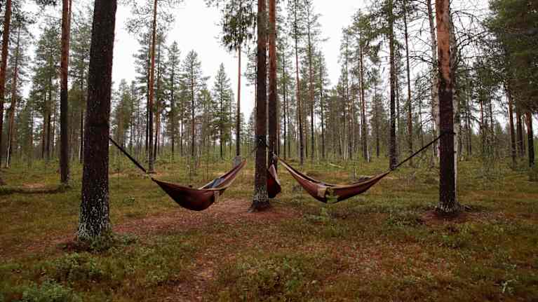 Kaksi riippumattoa roikkuu puiden välissä metsäisessä ympäristössä.