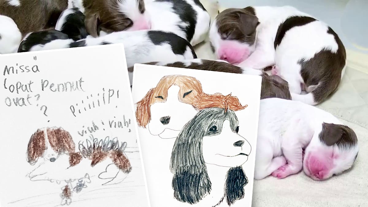 Pentulive ilahduttaa syksyn pimeydessä ja muutokset radiossa herättävät tunteita – Usein kysyttyä – yle.fi