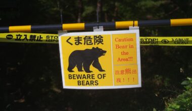 Japanissa karhukriisi: eläimet kiipeilevät hedelmäpuissa keskellä kaupunkia | Ulkomaat