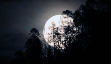 Vuoden suurin superkuu valaisi yötaivaat | Uutisia lyhyesti