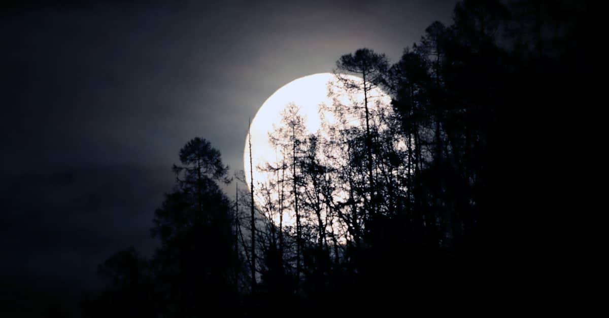 Vuoden suurin superkuu valaisi yötaivaat | Uutisia lyhyesti