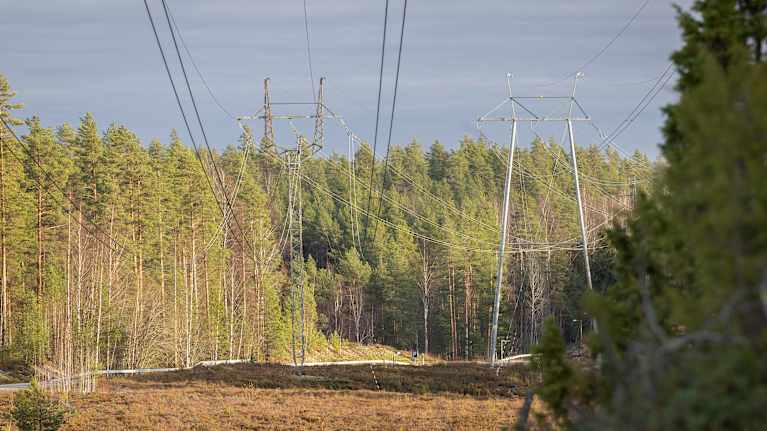 Kaksi suurta voimalinjaa syksyisessä metsämaisemassa.