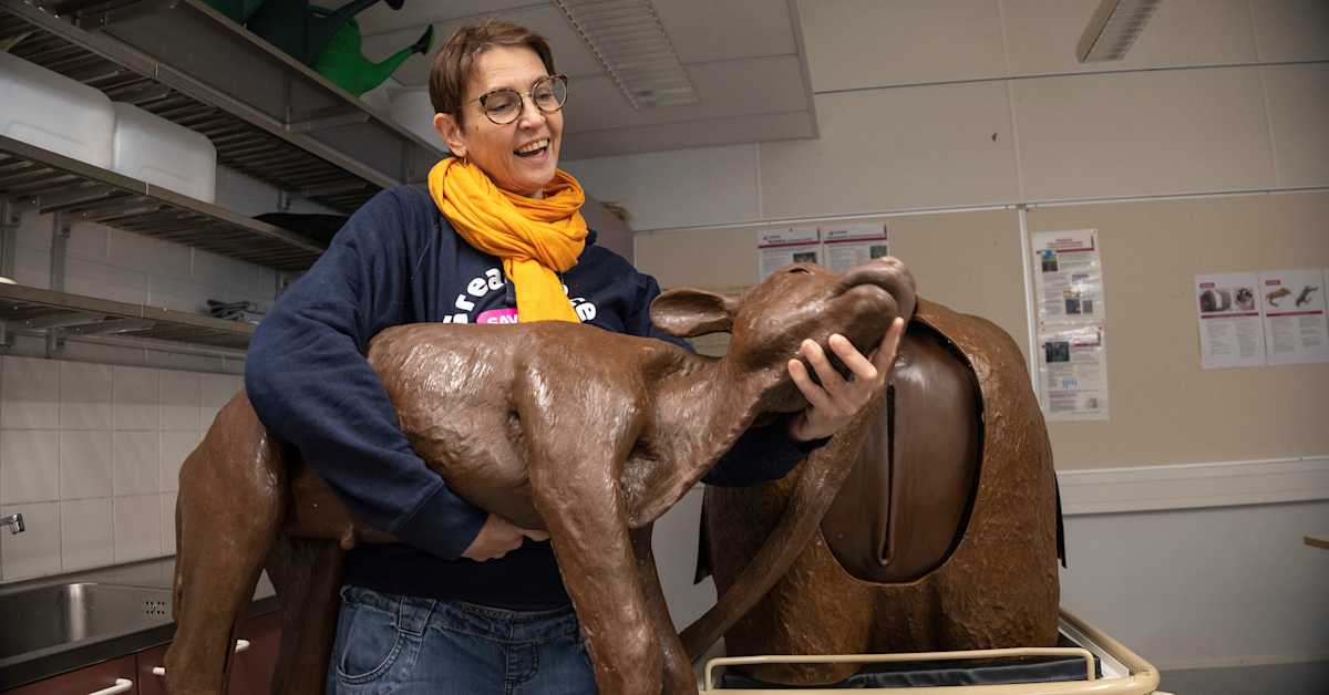 Eläinlääkäri aikoi jo käyttää nokkapihtejä, kunnes tapahtui jotain erikoista – nyt Iisalmessa opitaan eläinten käsittelyä | Pohjois-Savo