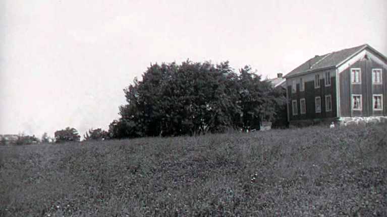 Pohjalaisia-mykkäelokuvassa oleva Antin kotitila, jonka tunnistamiseen Kavi kaipaa apua.