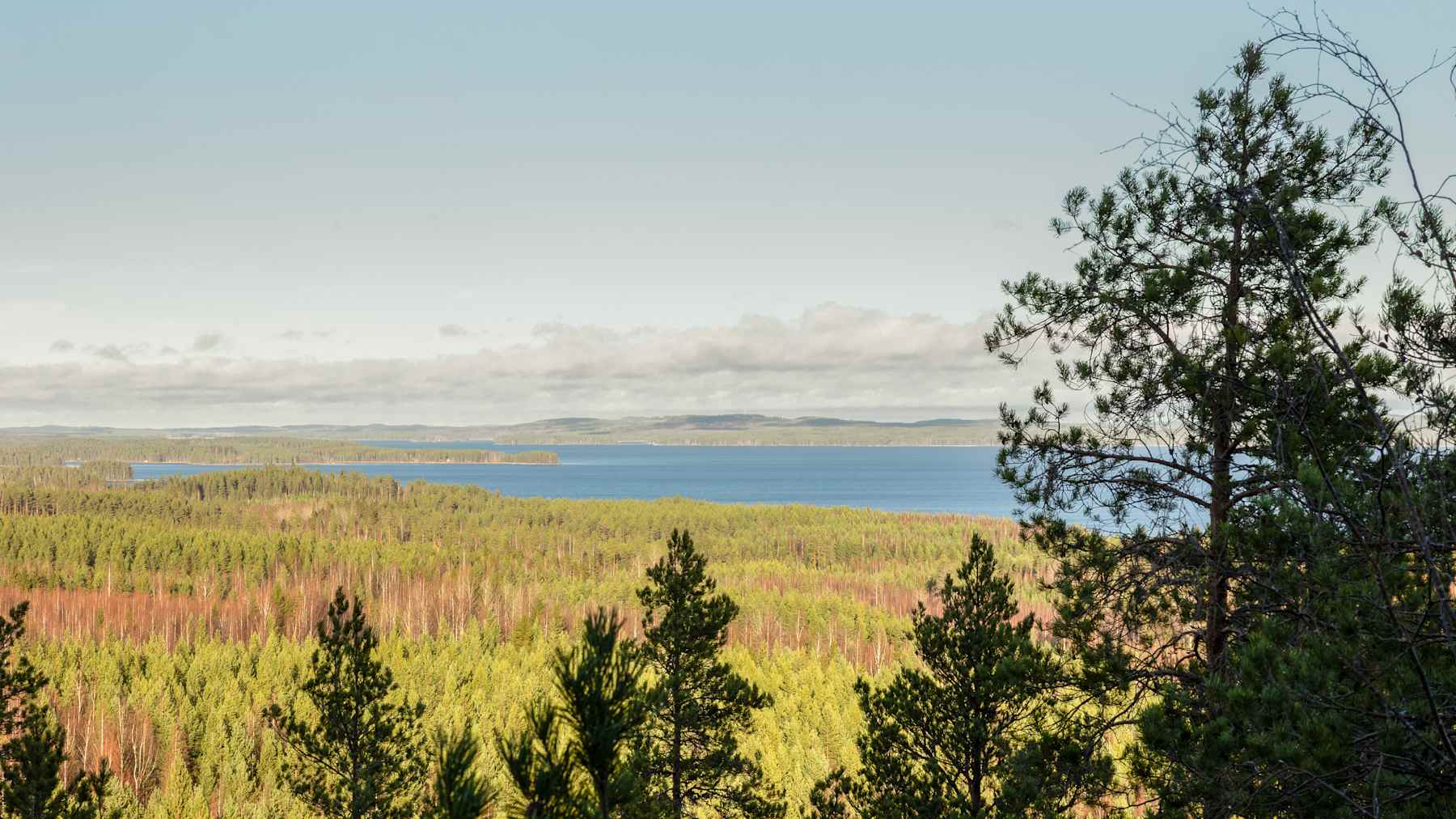 Maisema Keiteleelle Luuvuoren näkötornista Viitasaarelta.