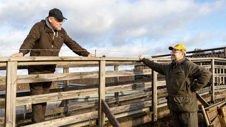 Kuvassa kaksi henkilöä keskustelevat puisella lintutornilla kirkkaassa päivässä.