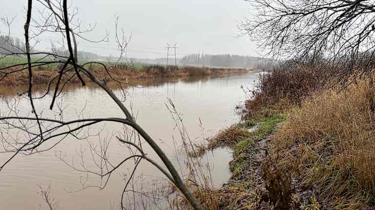 Porvoonjoen uomaa Orimattilassa.
