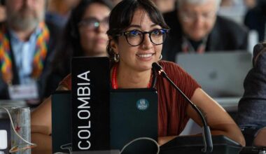 Analyysi: EU hävisi taistelun Saudi-Arabiaa ja Venäjää vastaan, mutta ilmastokokous ei silti epäonnistunut | Ulkomaat