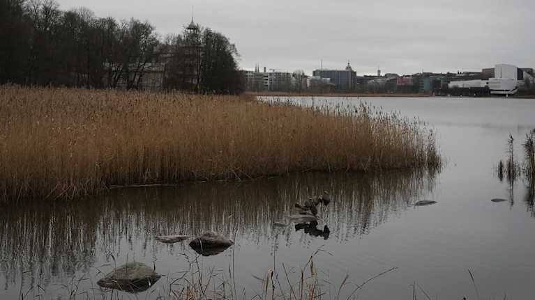 Markku Puustisen Tiira-teos Töölönlahdella. 