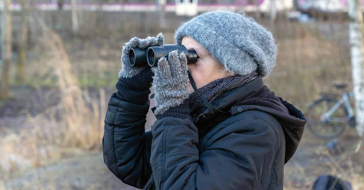 Joutsenet pysäyttelevät junia Helsingissä, koska niiden tavallinen kulkureitti on tukossa | Uusimaa