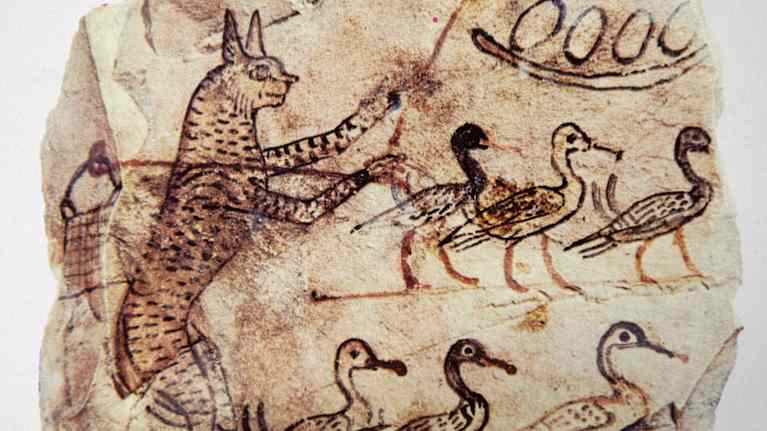 Muinaisessa piirroksessa kissa jahtaa hanhia.