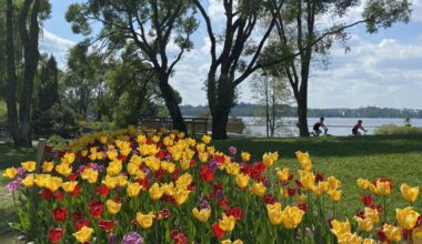 Hatanpään arboretum [Tampereen kaupunki - Luonto ja ympäristö