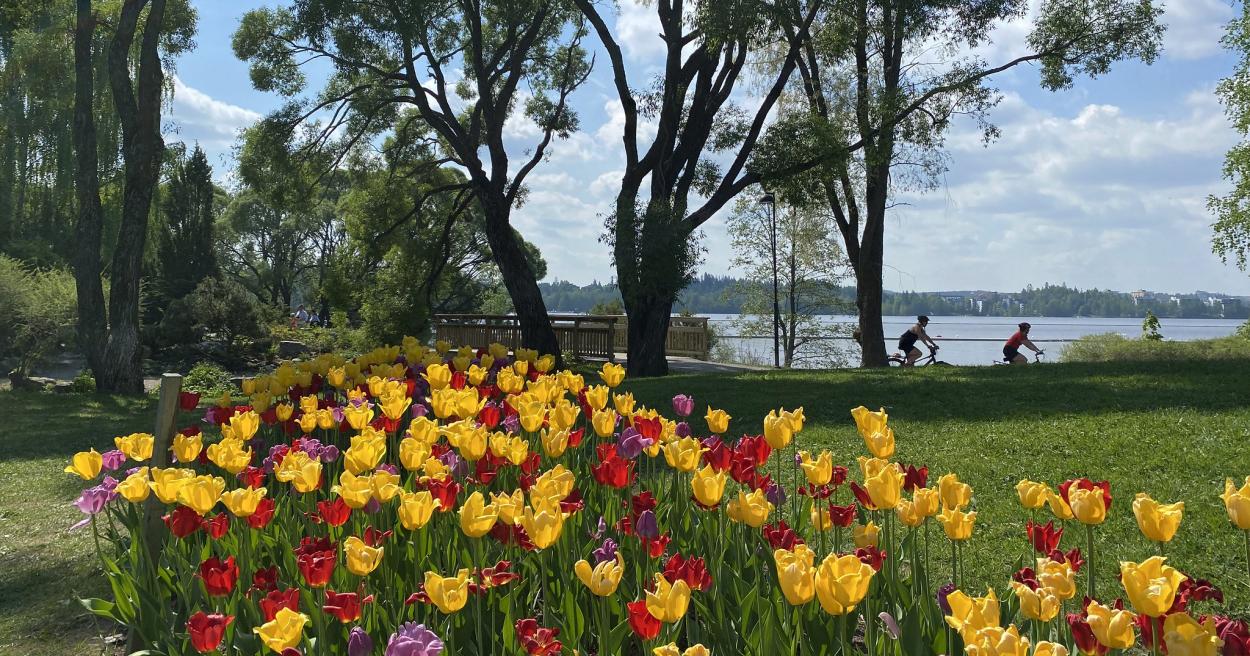 Hatanpään arboretum [Tampereen kaupunki - Luonto ja ympäristö