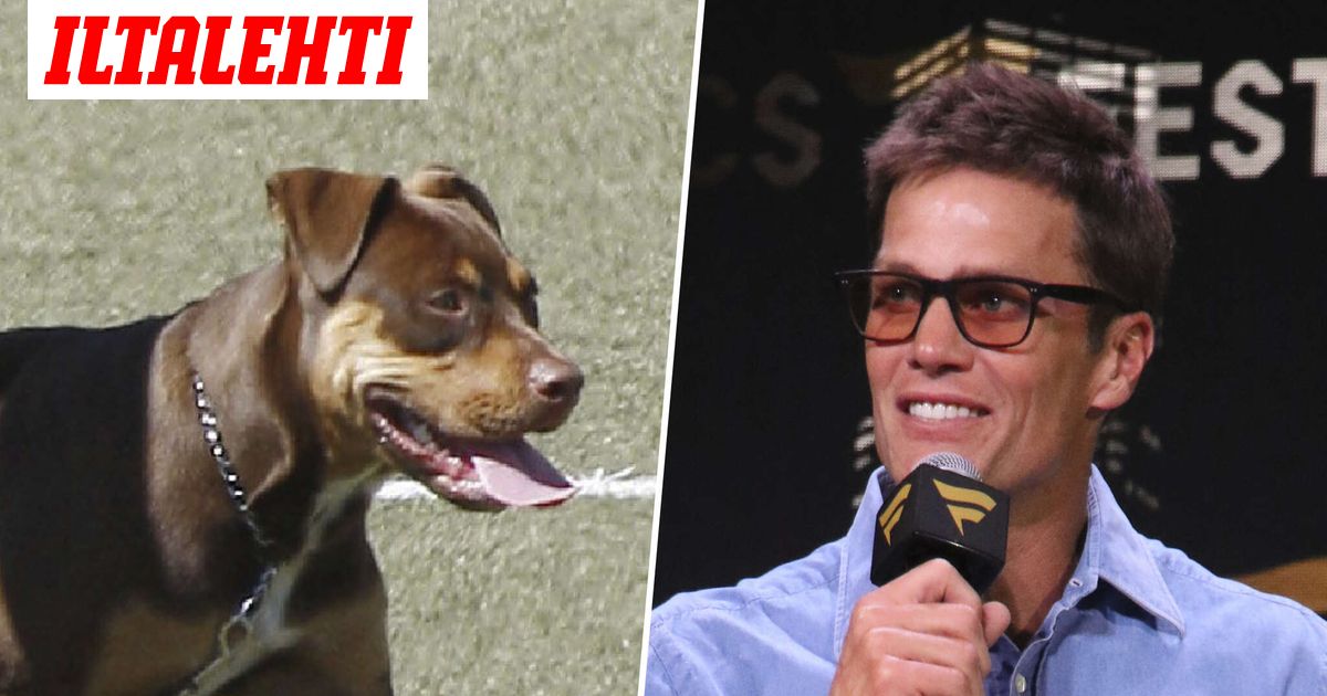 Miljonääri kloonasi koiransa