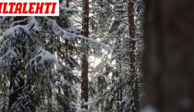 Kohta iskee myrsky – Jos olet täällä, varaudu - Iltalehti