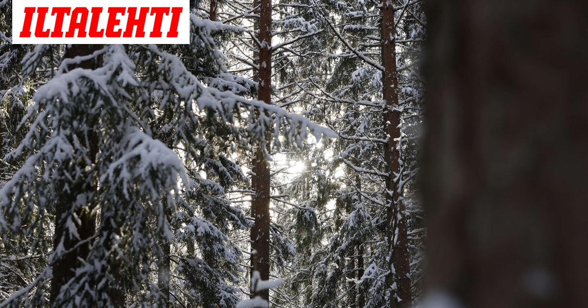 Kohta iskee myrsky – Jos olet täällä, varaudu - Iltalehti