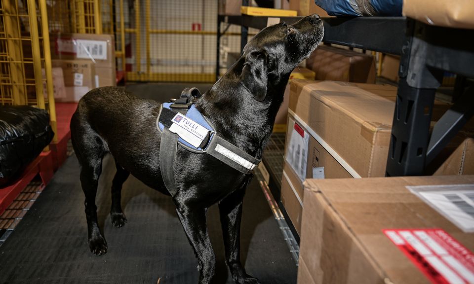 Kiinalaisen etämyynnin kasvu haastaa viranomaisia – kuluttajan vastuu korostuu Black Fridayna