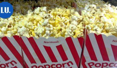 Tarjolla kaksi ilmaista elokuvaa lohjalaisille perheille ja nuorille | Paikalliset