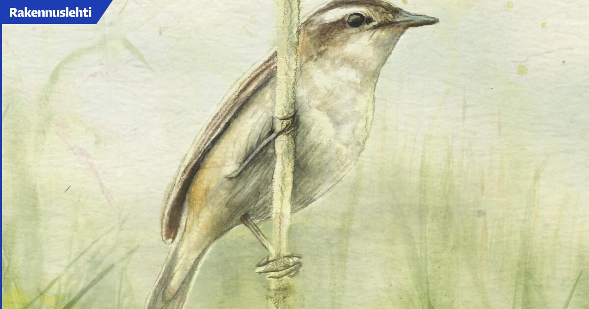 Arkkitehti pääsi suunnittelemaan luonto-opasteita – ”Tämä on sen verran mielihommaa, että varmasti teen, jos vain tilataan.”