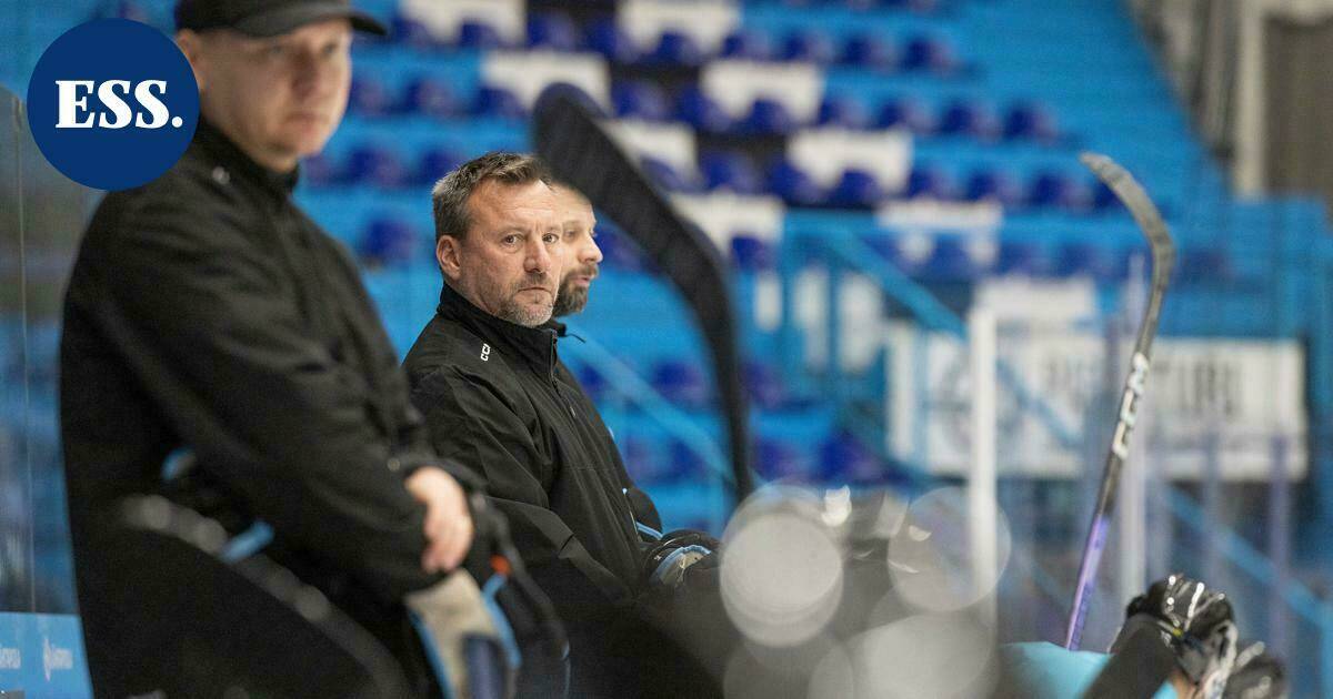 Pelicansin apuvalmentajat vaihtoon – juniorijoukkueissa pyörähtää samalla valmentajien vaihtoruletti | Urheilu