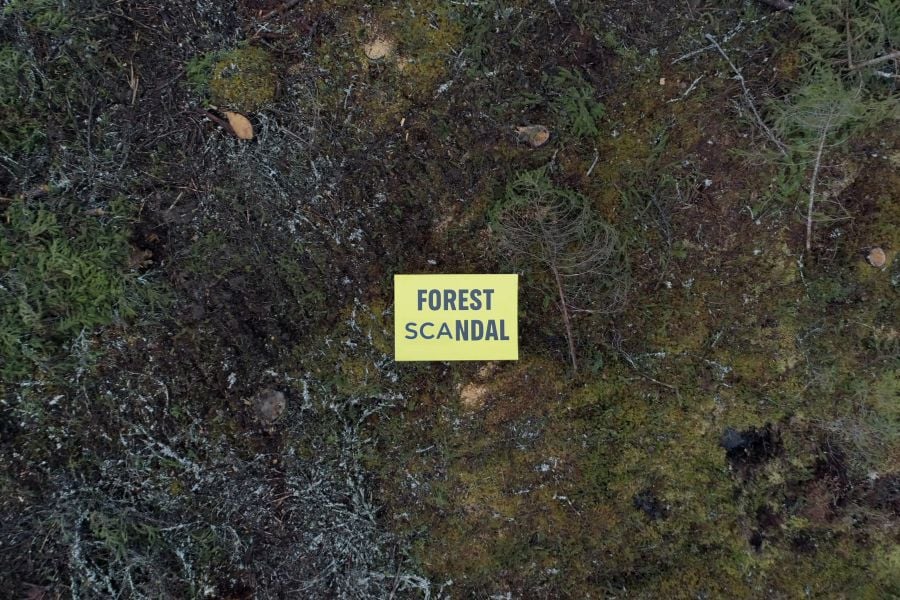 Nestlé lopetti ostot metsäjätiltä: hakkaa luonnonmetsää Pohjois-Ruotsissa