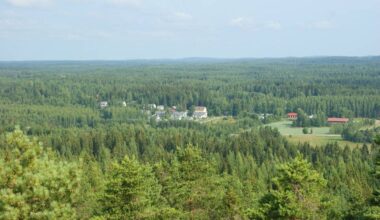 Metsänhoitoyhdistyksen jäsen pääsee mukaan metsäsertifiointiin – sitoutumatta yhteen puunostajaan | Maa