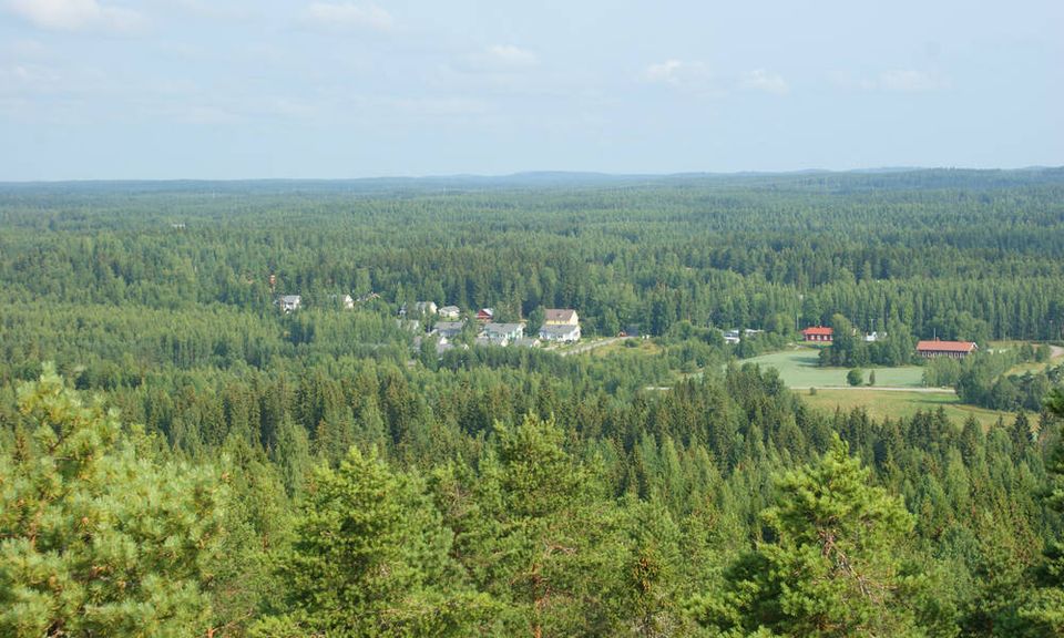 Metsänhoitoyhdistyksen jäsen pääsee mukaan metsäsertifiointiin – sitoutumatta yhteen puunostajaan | Maa
