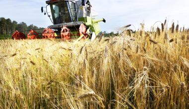 Luken tilastokysely käynnissä – viljelijöiltä kerätään tietoja sadoista - Maatalous