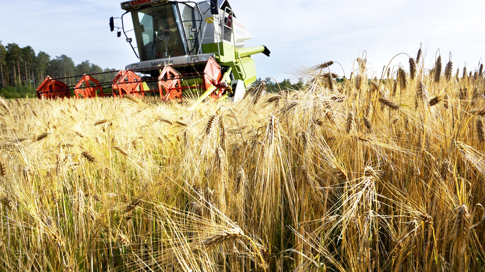 Luken tilastokysely käynnissä – viljelijöiltä kerätään tietoja sadoista - Maatalous
