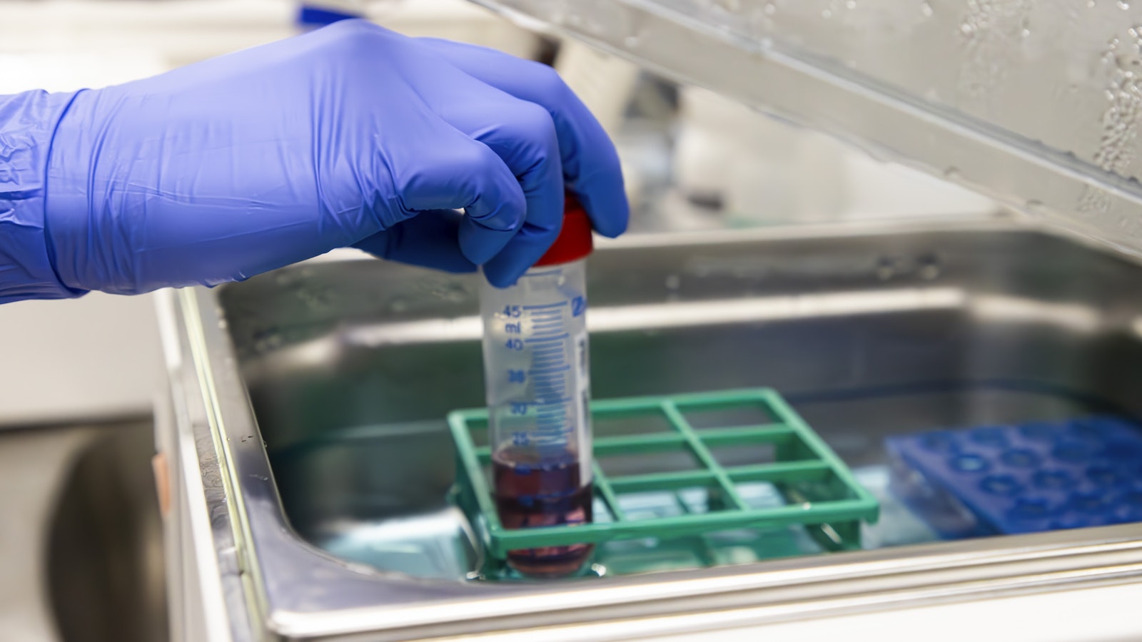 Teollisuudessa ja hyönteisten torjunnassa käytetyt myrkyt eivät katoa ympäristöstä − tutkijat tekivät niistä uuden karun havainnon - Maatalous