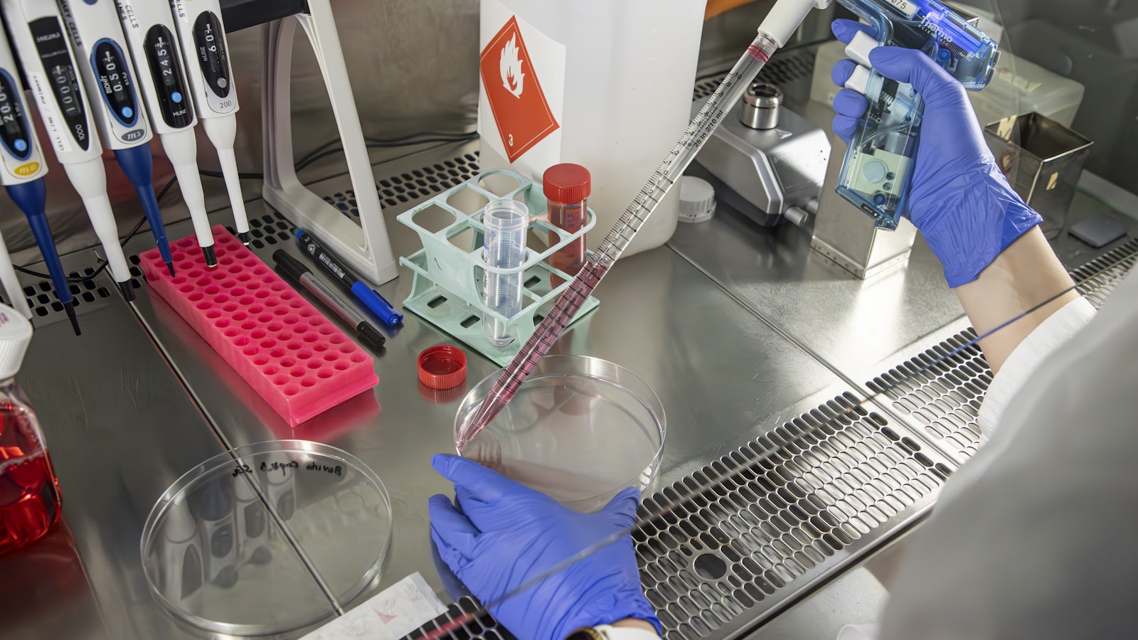 Lukijalta: Kasvuyrittäjyyden iso potentiaali löytyy pk-sektorilta - Maaseudun Tulevaisuus